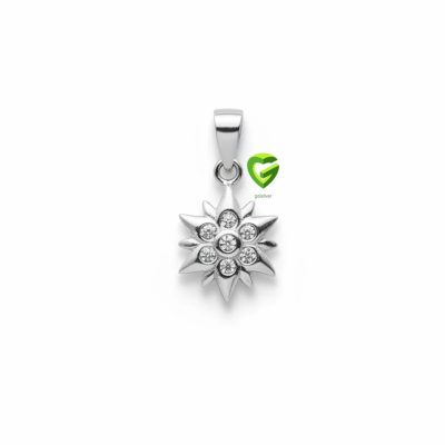آویز نقره ستاره‌گرد کد1351