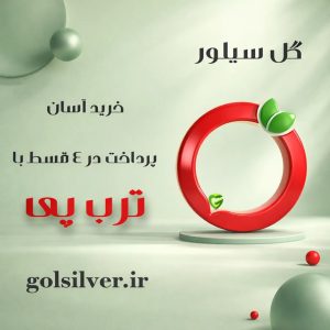 خرید نقره خرید نقره جات گل سیلور جعبه جواهر