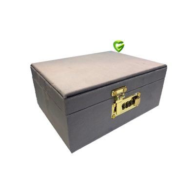 جعبه ساعت فیلی کد2581